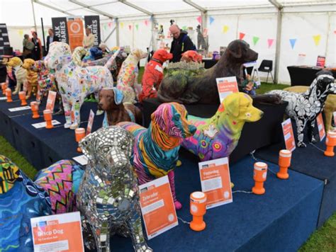 Who Let The Dogs Out Suffolk Libraries Paws Itivity Dogs Unveiled At