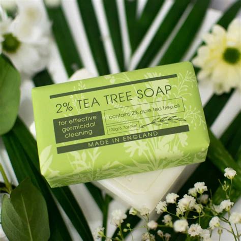Take Care Tea Tree Soap The English Soap Company