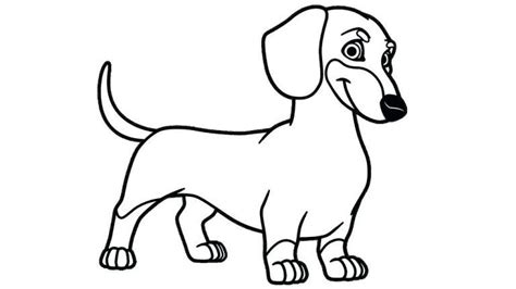 Snoopy coloring pages puppy coloring pages paw patrol coloring pages coloring pages for grown ups love coloring pages dinosaur coloring pages disney coloring pages printable coloring pages happy birthday coloring pages. Dachshund Coloring Pages - Best Coloring Pages For Kids | Dog coloring page, Coloring pages for ...