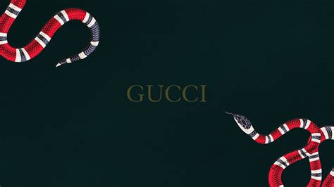Carta Da Parati Serpente Gucci Sfondo Del Desktop Gucci 1920x1080