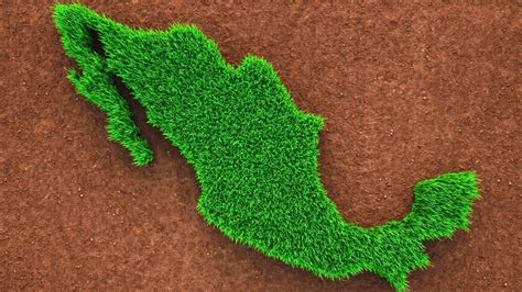 ¿por Qué México Es Un País Megadiverso Biodiversidad Unión Guanajuato