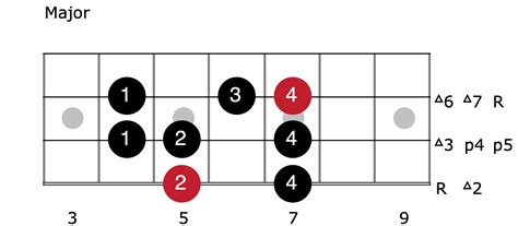 Bass Guitar Lesson Using Scales To Create Killer Grooves