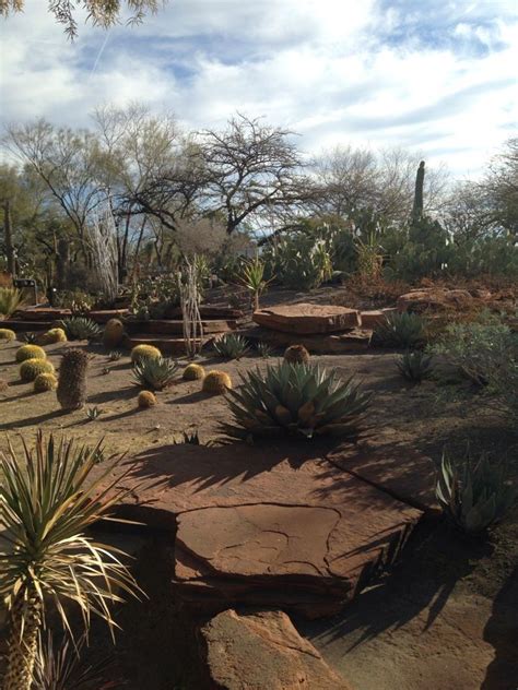 * removed dragon spawning from all worlds minus sky grid. 430 best images about Desert landscaping ideas on Pinterest