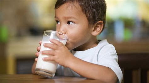 Plain Milk And Water Are The Only Beverages Young Kids Need Babycenter