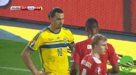 Or link the zlatan ibrahimovic gifs in a forum reaction. 19 GIFs that tell you everything you need to know about ...
