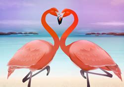 Jacquie lawson lives in the small english village of lurgashall, in west sussex. Happy Valentine's Day Flamingo Fancy e-card by Jacquie Lawson (With images) | Animated ecards ...
