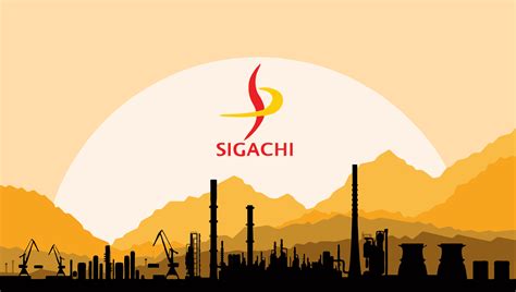 Sigachi Industries Record Breaking Ipo Pop