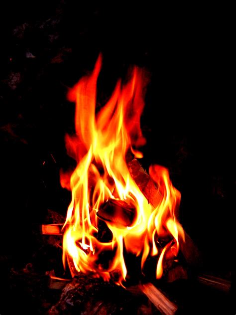 Combustion Wikipedia