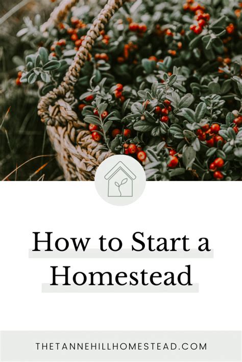 How To Start A Homestead Homesteading For Beginners