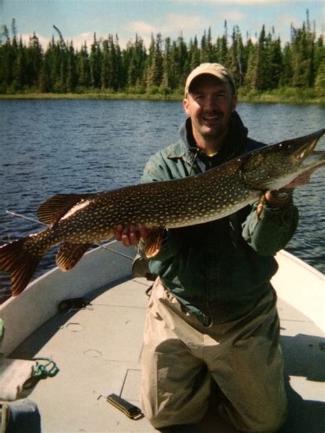 Red Lake Fishing Reports Ontario For Monster Northern Pike And Walleye