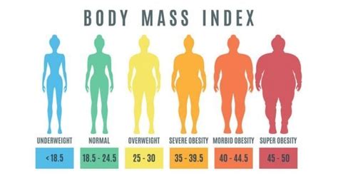 Cara Kira Bmi Body Mass Index Dan Online Bmi Calculator Nadz My