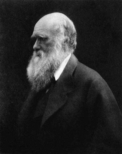 Charles Darwin 5 Facts About The Father Of Evolution