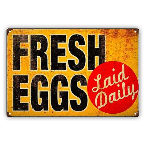 Fresh Eggs Laid Daily Vintage Style Farm Fresh Eggs Notice Metal