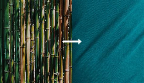 In Search Of The Perfectly Sustainable Fabric Bamboo Clothing