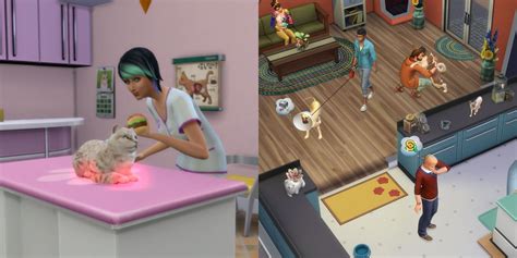 The Sims 4 Tips For Running A Vet Clinic