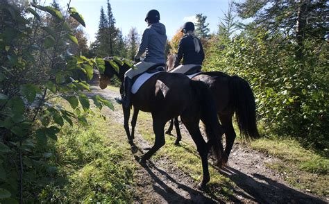 Horseback Riding In Kawartha Lakes Ontario Fred Thornhill Photography