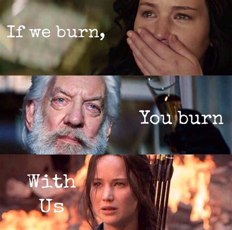 If We Burn You Burn With Us Hunger Games Hunger Games Catching