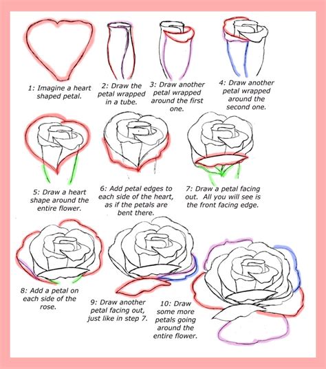 How to draw a rose step by step easy? How To Draw Roses