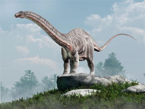Apatosaurus Digital Art By Daniel Eskridge