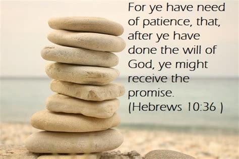 10 Great Bible Verses About Patience Letterpile