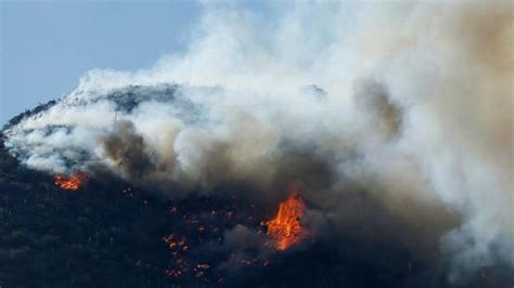 California Bushfires Wreak Havoc On Locals Newshub