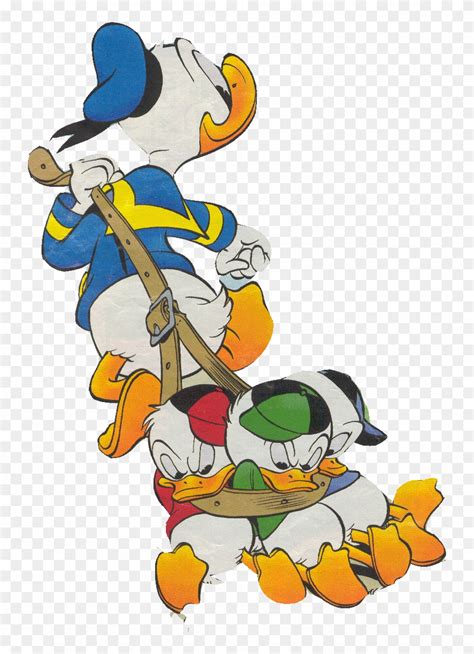 Donald Fauntleroy Duck Or Donald Duck Is A Funny Animal Donald Duck