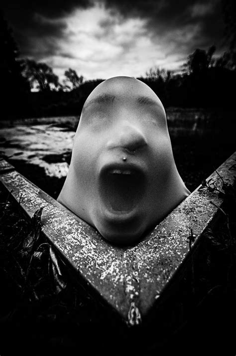 Silent Scream Ii By Sandra Po Un Photography Digital Art Limited