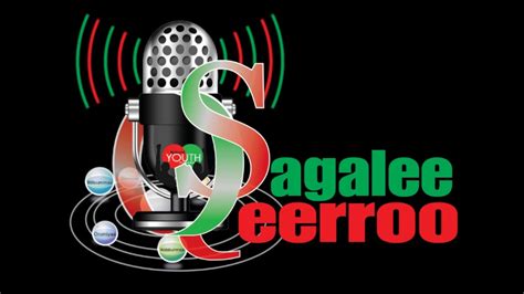 Sagalee Qeerroo Bilisummaa Oromoo Ebla 11 2017 Youtube