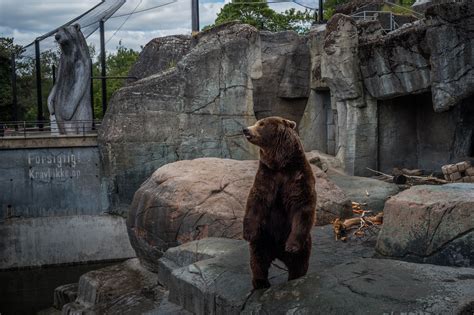 These Images Of Zoo Animals Will Make You See Captivity Differently