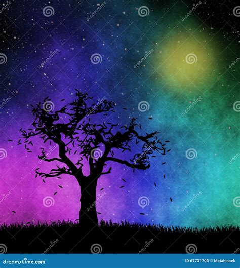 Tree At Starry Night Stock Illustration Illustration Of Dark 67731700