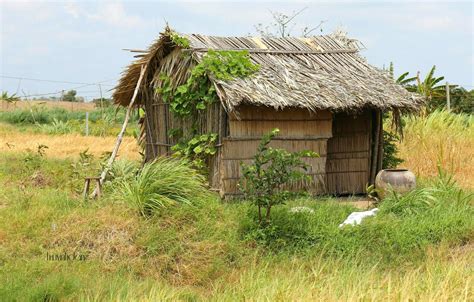 A Hut In The Southwest Region Vietnam