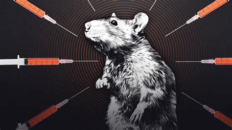 Did Rats Start The Drug War