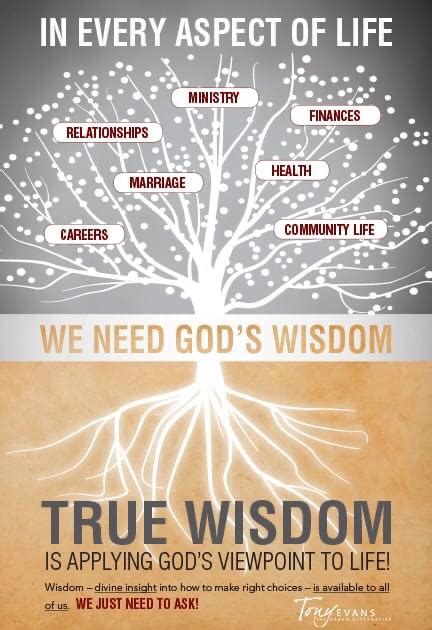 Wisdom Pondering Life Pursuing God