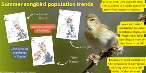 Songbird Migration Across The Sahara Bto British Trust For Ornithology