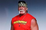 Hulk Hogan on if he's angling for a match at WrestleMania 31, If he is ...