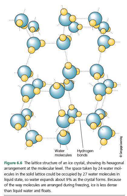 Molecular Structure Of Water And Ice