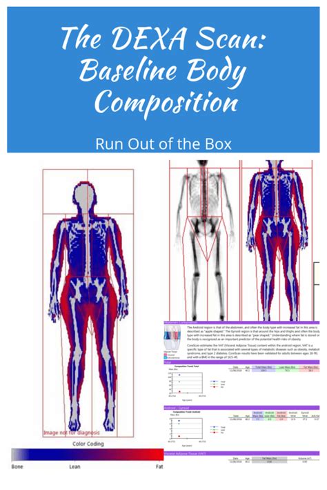 Get A Baseline Body Composition Reading With A Dexa Scan