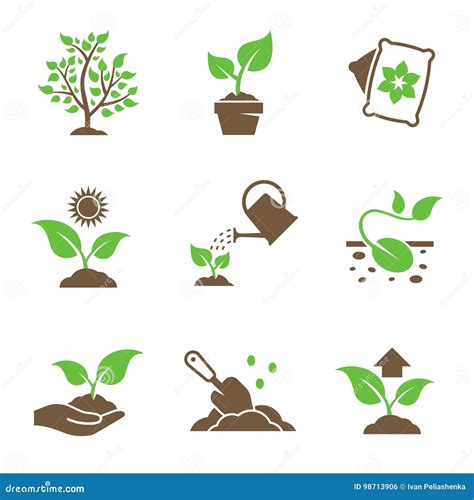 Plant Growing Icons Set Stock Illustration Illustration Of Ecology