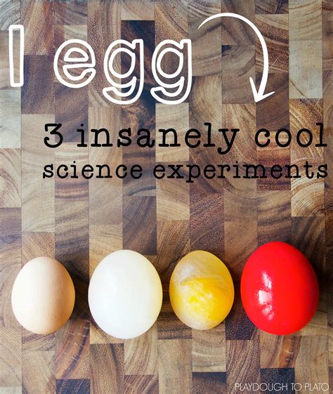 Egg Science Experiments