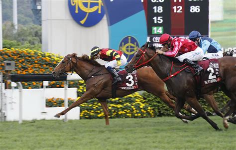 Longines hong kong international races 2020 hong kong sha tin horse racing live 13 december 2020 | sunday 12:25 pm. Hong Kong Horse Racing: G3 Sha Tin Vase Handicap - Live ...