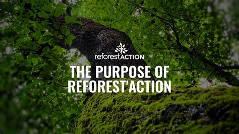 The Purpose Of Reforest Action YouTube