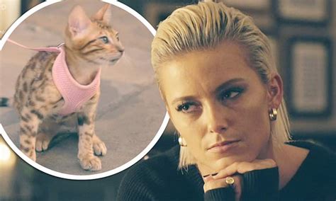 Cats In Chelsea Was Preferable To Made In Chelsea By Jim Shelley
