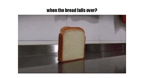 Bread Falling Over Animated  Maker Piñata Farms The Best Meme Generator And Meme Maker