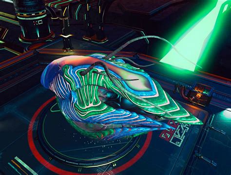 My First Living Ship Im Amazed At The Colors Rnomansskythegame