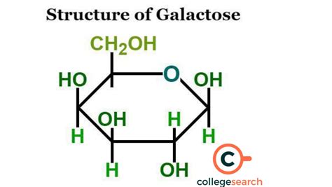 Galactose Structure Definitions Etymology Formula Properties