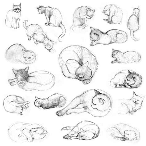 Cats V By Jennomat Cats Art Drawing Kitty Drawing Drawing Base Cat