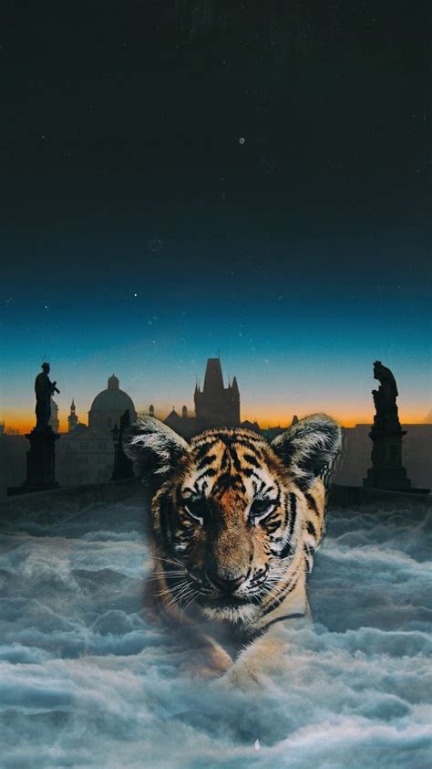 999 hình nền con hổ tuyệt đẹp Bộ sưu tập hình nền con hổ đẳng cấp