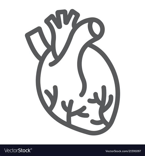 Human Heart Line Icon Anatomy And Biology Vector Image