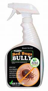 Non-toxic Bed Bug Control Images