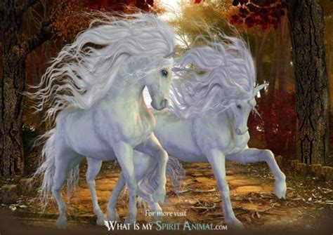Unicorn Symbolism And Meaning Unicorn Spirit Totem And Power Animal